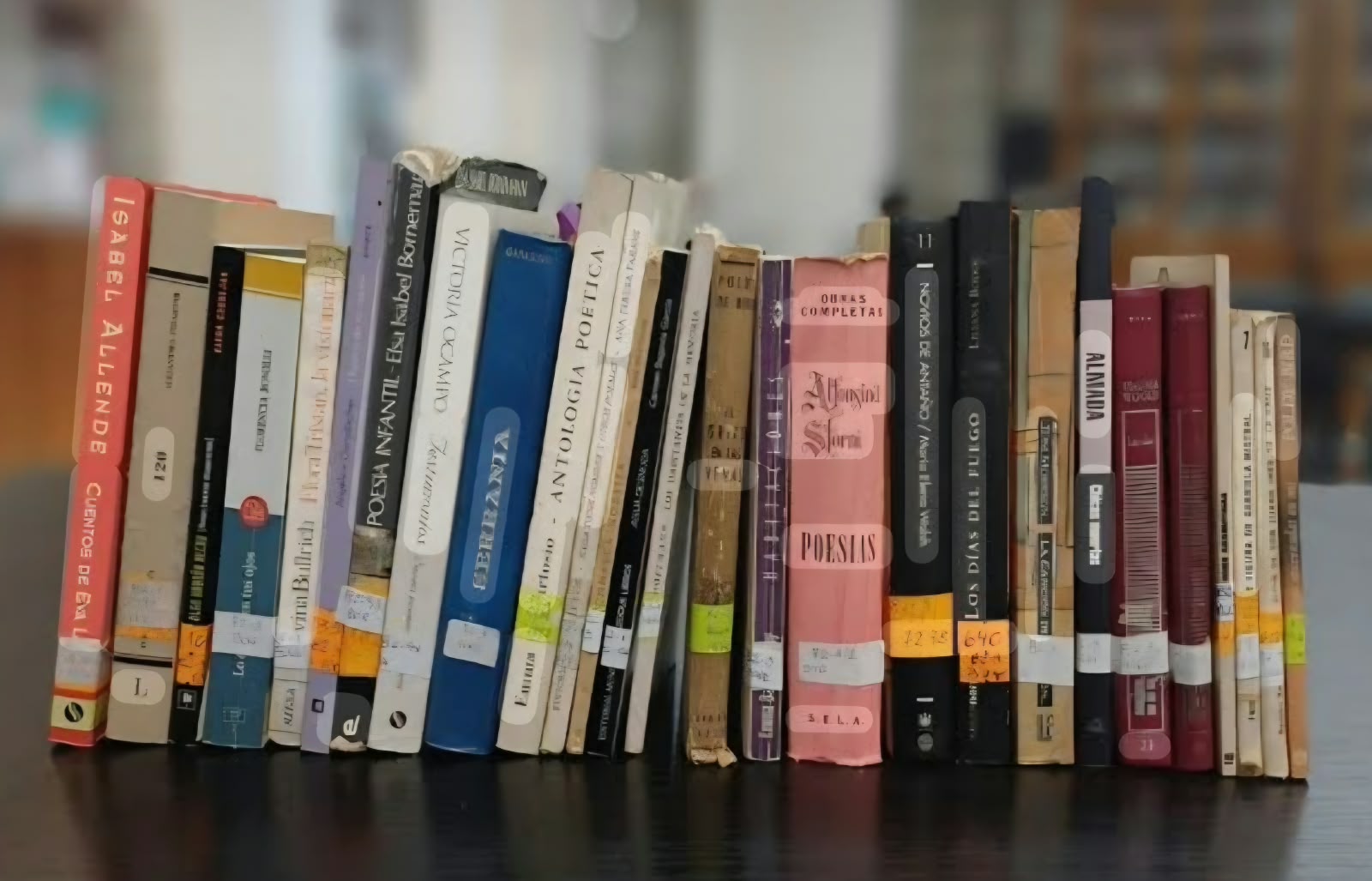 Una maratón de lectura promueve el acceso a la cultura y la participación comunitaria